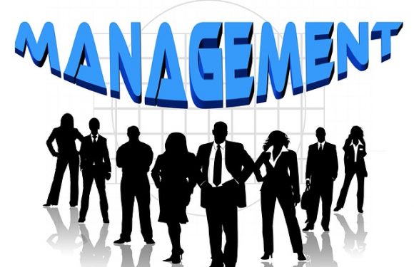 The Different Levels of Management – Key Terms You Need To Know