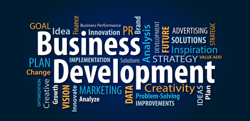 How to Build a Strong Foundation for Business Development