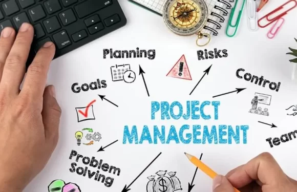 Project Management  – How to Get Your Team Organized