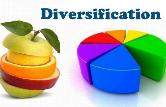 How to Build a Diversified Investment Portfolio
