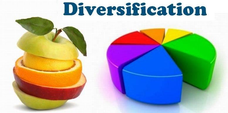 How to Build a Diversified Investment Portfolio