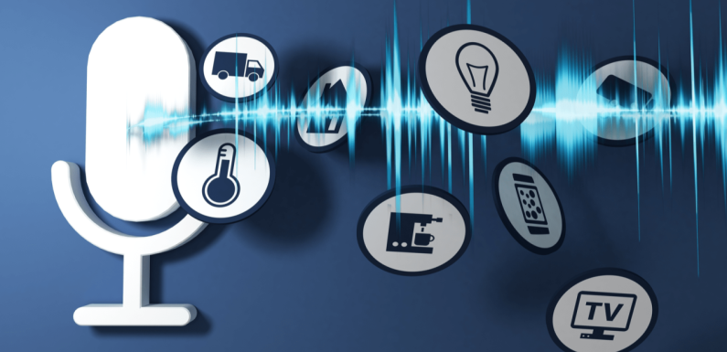 The Rise of Voice Search – Optimizing Your Digital Marketing Strategy