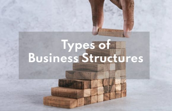 How to Choose the Right Business Structure for Your Startup