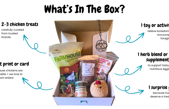 Beyond Coffee and Socks: The Subscription Box Model for Professional Services