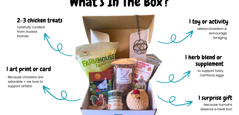 Beyond Coffee and Socks: The Subscription Box Model for Professional Services
