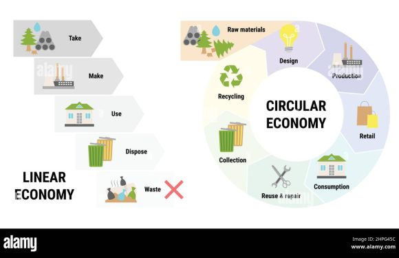 Marketing to the Conscious Consumer: The New Rules of Sustainability Storytelling and Impact Verification